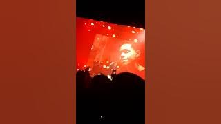 BIN - Marília Mendonça (Ao Vivo) Itaboraí RJ