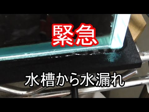 水槽から水漏れ Youtube