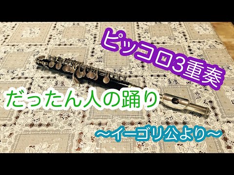 【ピッコロ3重奏】ピッコロ3重奏イーゴリ公よりだったん人の踊りvlog