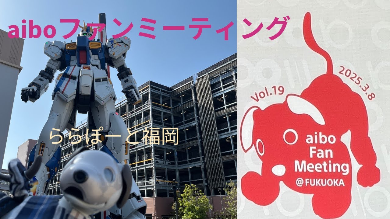 aiboファンミーティングVol 19 ‐ ららぽーと福岡 　#aibo　#ららぽーと福岡   #aiboファンミーティング