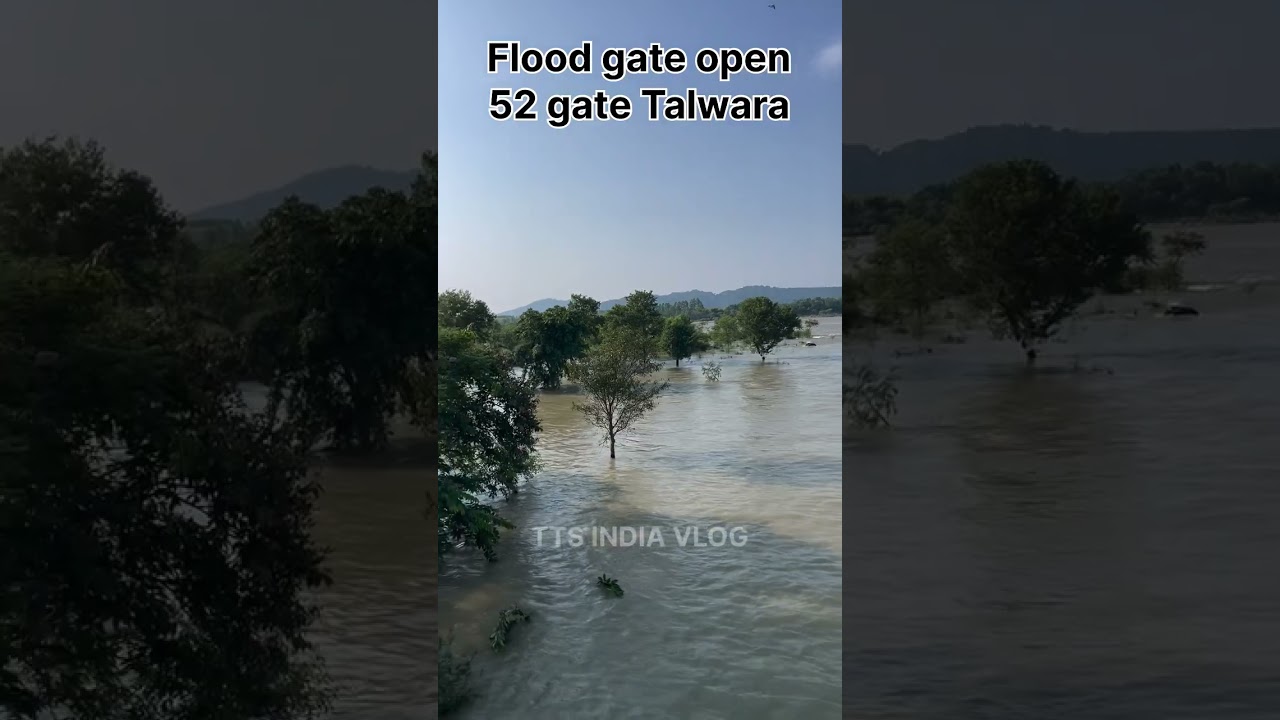 Pong dam flood gate open ||52 gate Talwara ||