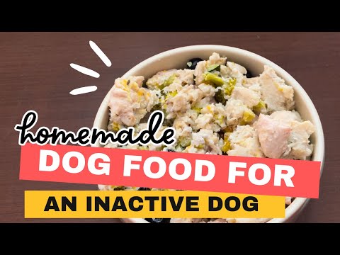 SIMPLE Homemade Dog Food Recipe Creator 