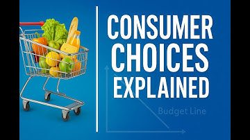 Consumer Choice Theory Explained | OpenStax Ch.6 Summary
