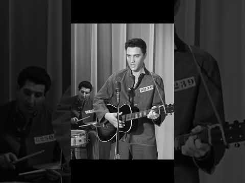 Video I Want To Be Free