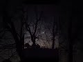 beauty of night #kishorkumar