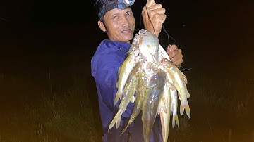 Câu cá #82[Bữa Cơm Bình Yên Sau Một Ngày Giăng Câu Cá Lăng Nơi Hoang Dã]