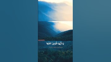 القارئ اسلام صبحي "إِنَّ اللَّهَ وَمَلَائِكَتَهُ يُصَلُّونَ عَلَى النَّبِيِّ" حالات واتس  🥺💖
