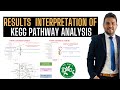 How to interpret the results of KEGG pathway analysis?