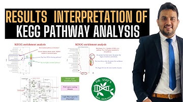 How to interpret the results of KEGG pathway analysis?