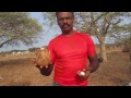 ideomotor effect - truth in finding ground water using egg and coconut