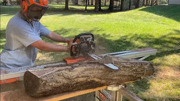 Cutting Some Black Walnut Charcuterie Board Material Using My Stihl MS 661 and Logosol F2 Plus