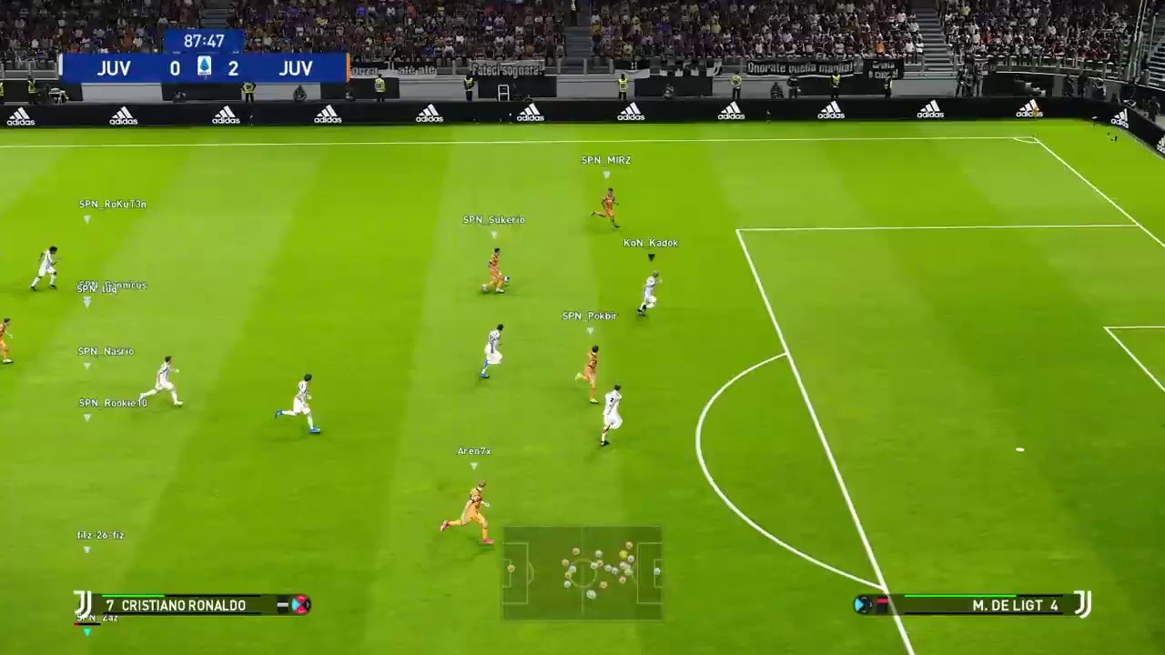 Spartan TL Training vs Deganest