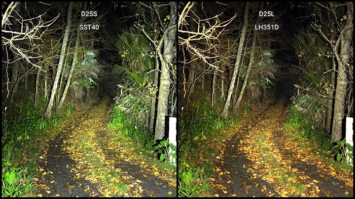 Sofirn D25L vs D25S Comparison (Demo)