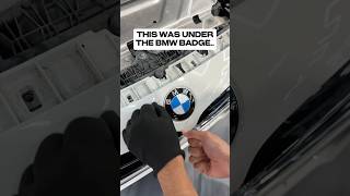 This Was Under The BMW Badge..😳 #bmw #cars #wrap #carwrap #satisfying #shorts #viral #car #trending