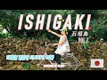 대지진을 피하고 태풍과 함께한 이시가키 여행 (ISHIGAKI, Japan) Vol.1ㅣ石垣島ㅣ이시가키직항ㅣ돈키호테