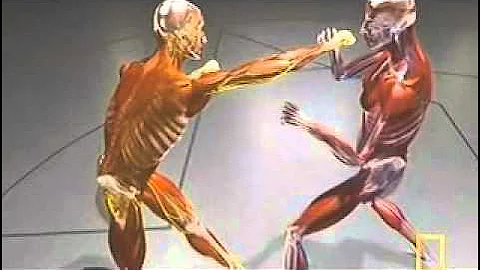 Boxing - More Power from your Punches