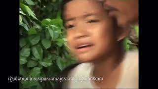 ការថែទាំសុខភាព និងការការពារពស់ចឹកពេលមានទឹកជំនន់