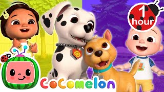 Bingo's Puppy Play Date with JJ and Nina | CoComelon Nursery Rhymes & Kids Songs