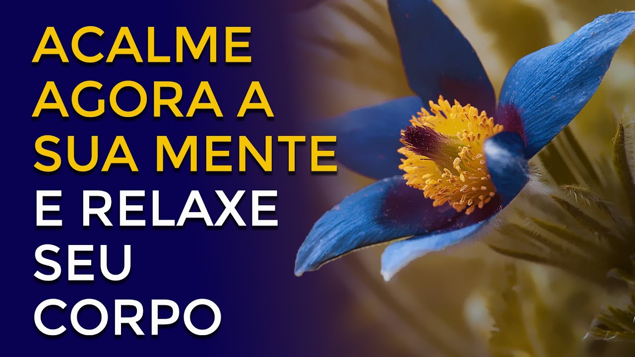 Meditação Rápida para Relaxar o Corpo e Acalmar a Mente - YouTube