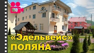 Отель "Эдельвейс" Поляна. Отдых в Карпатах