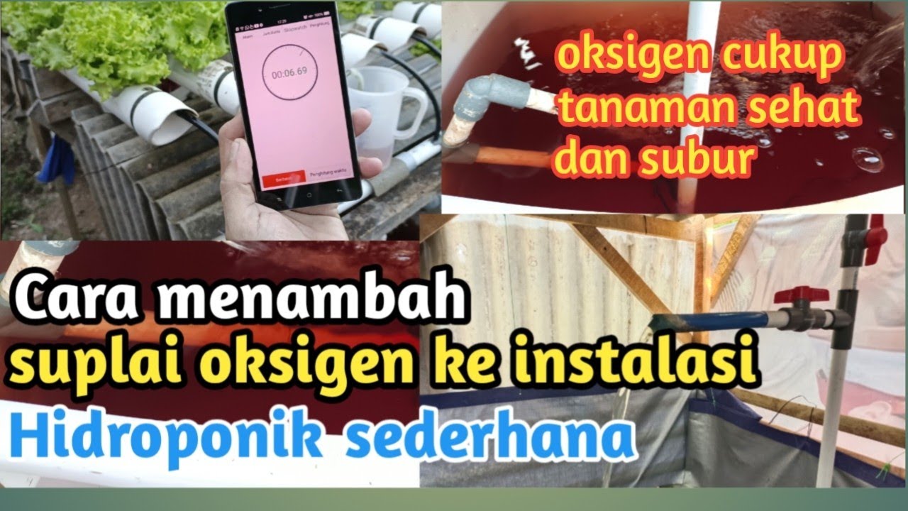 Gambar ilustrasi cara menambah oksigen di air hidroponik dalam cara menambah oksigen di air hidroponik secara efektif