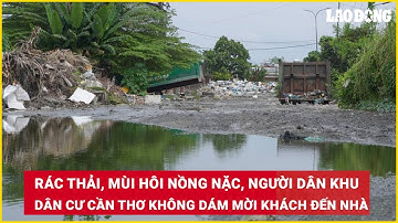 Rác thải, mùi hôi nồng nặc, người dân khu dân cư ở Cần Thơ không dám mời khách đến nhà| Báo Lao Động