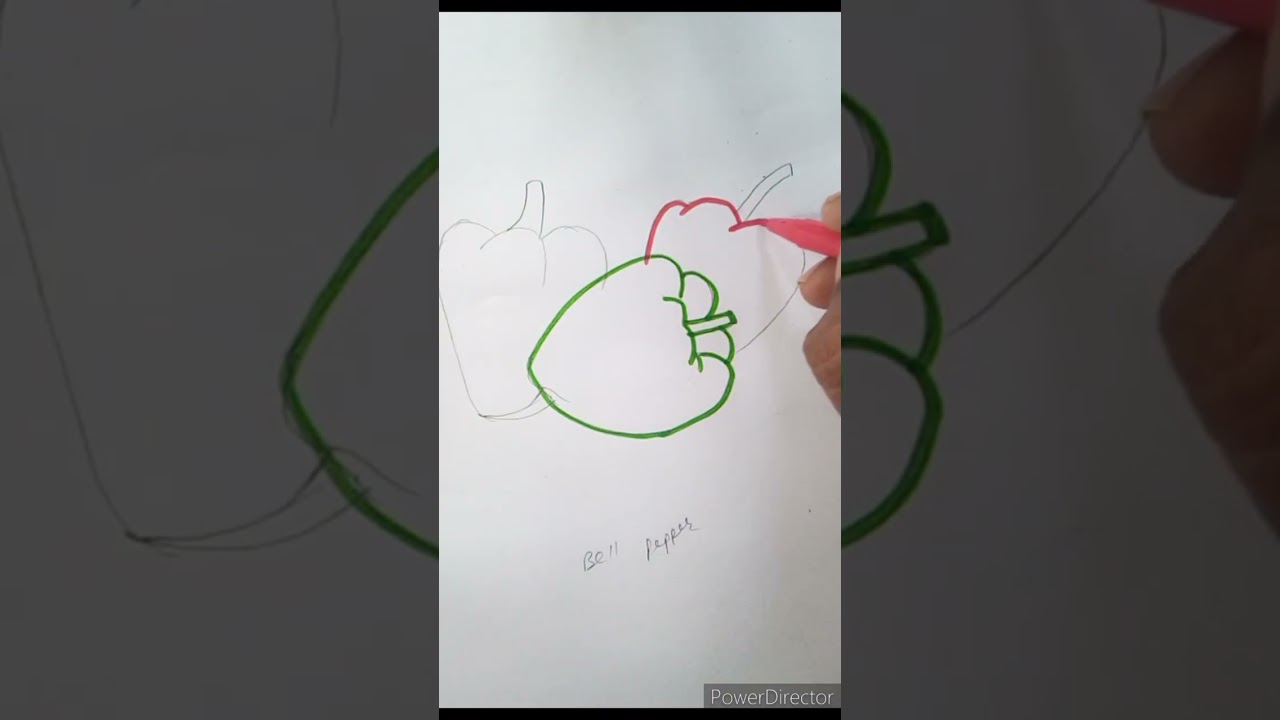Draw  Realistic Bell Peppers | Easy Step-by-Step Drawing Tutorial
