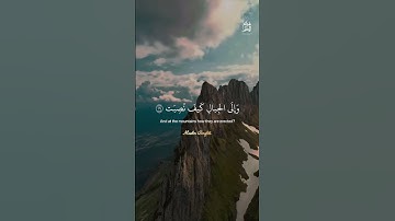 أفلا ينظرون إلى الإبل كيف خلقت.. #تلاوة_خاشعة #اكسبلور #آيات #حالات_واتس #فوائد_المسلم