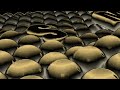 WARNING LAG Klasky Csupo And Samsung Logo Balls In Landmark Humans Major 