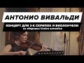 Антонио Вивальди, концерт для 2-х скрипок и виолончели из сборника L&#39;estro armonico