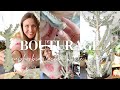 Bouturage de leuphorbia lactea white ghost en mode vlog 