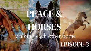 Peace &amp; Horses Episode 3 Spectrums &amp; Horses