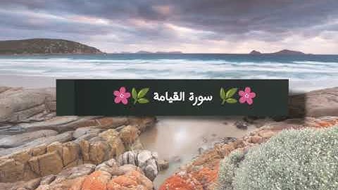 سورة القيامة تلاوة خاشعة بصوت الشيخ عبدالعزيز الزهراني
