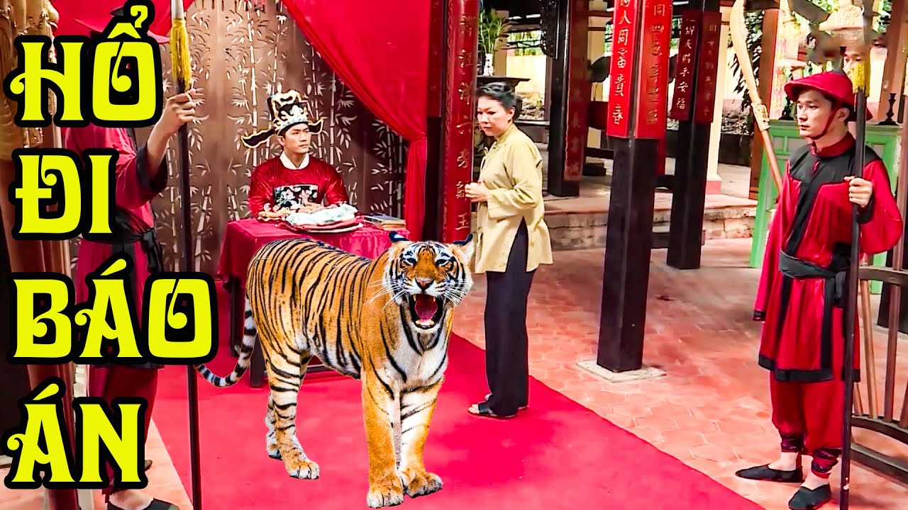 HỔ ĐI BÁO ÁN I Cổ tích 2025 I Cổ tích Việt Nam THVL I Cổ tích THVL 2025 | Cổ tích Việt Nam