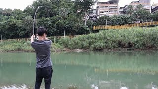 釣了這麼多年魚真的沒看過這樣的事情...|【在台北市釣魚】EP.7 FISHING VLOGS IN TAIPEI