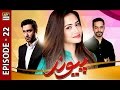 Paiwand Episode 22 - ARY Digital Drama