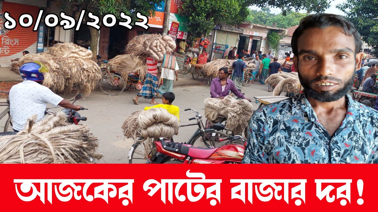 Jute Market Price In Bangladesh 10/09/2022 আজকের পাটের বাজার দর