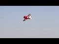 rc plane glow 120 engine Geebee nice Landing in 우음도