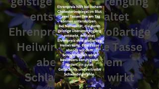 Ehrenpreis: Pflanzliche Hilfe bei Nervosität und Schmerzen #Ehrenpreis #Hausapotheke #Gesundheit