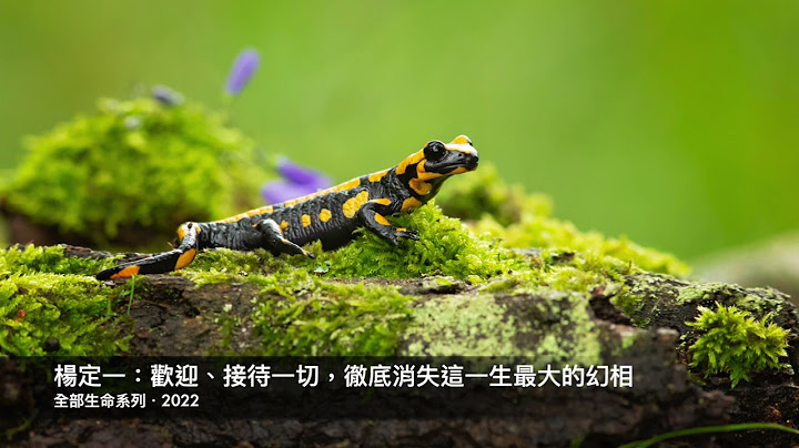 楊定一：歡迎、接待一切，徹底消失這一生最大的幻相 - 天天要聞