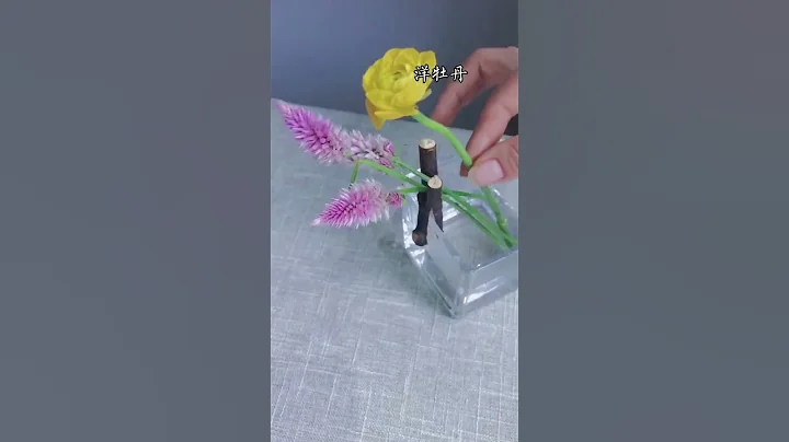 樹枝只能當柴燒嗎？ - 天天要聞