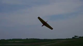 SAS Wildthing 60" Slope Glider