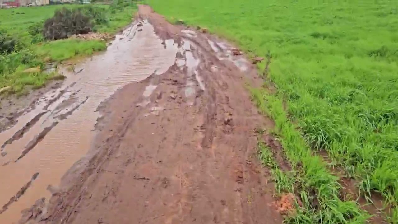 POV: جولة بالدراجة في طريق موحل بين الحقول الخضراء 🌿🚴‍♂️ بعد المطر