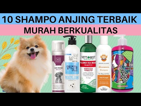 Video: Cara Memilih Shampoo Anjing Terbaik (Untuk Kutu, Ketombe, & Lainnya)