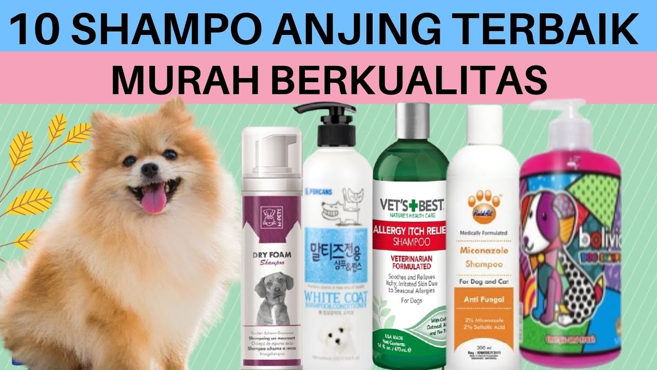 Rekomendasi 10 Shampo Anjing Terbaik, Yang Bagus Untuk Melembutkan Bulu