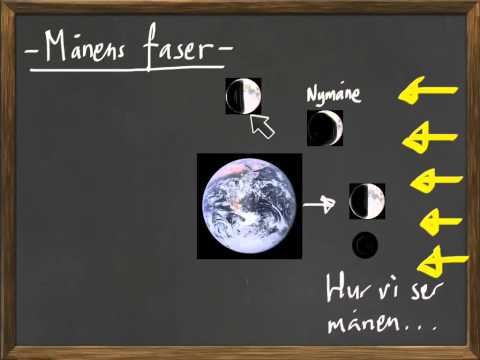 Video: Vilka är Månens Faser