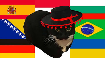 Maxwell The Cat in different languages meme Part 2