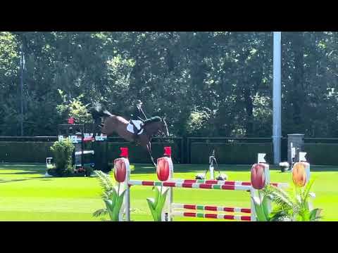 Criquet des L’Isle 145 CSI2** Valkenswaard