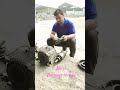 Motor Bearings change