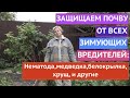 ИЗБАВЛЯЕМ ПОЧВУ ОТ ВСЕХ ЗИМУЮЩИХ ВРЕДИТЕЛЕЙ! ЭФФЕКТИВНО И НАДЕЖНО!